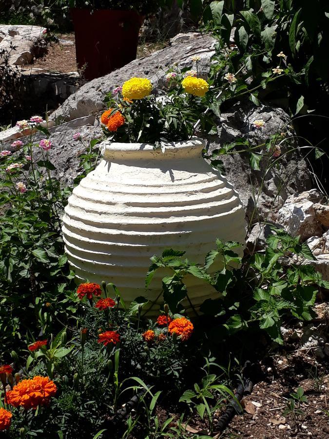 אפרטהוטל ניקיאנה La Casa Di Nonna Anna מראה חיצוני תמונה